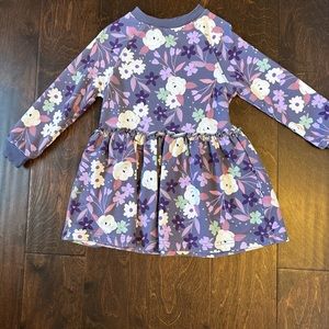 Little Sleepies - Plum Floral Long Sleeved Drop Waist Dress